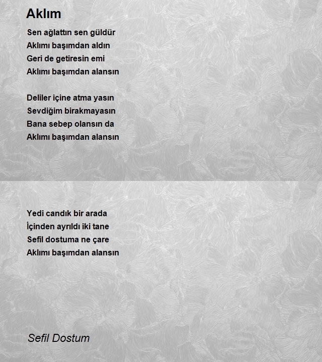 Sefil Dostum