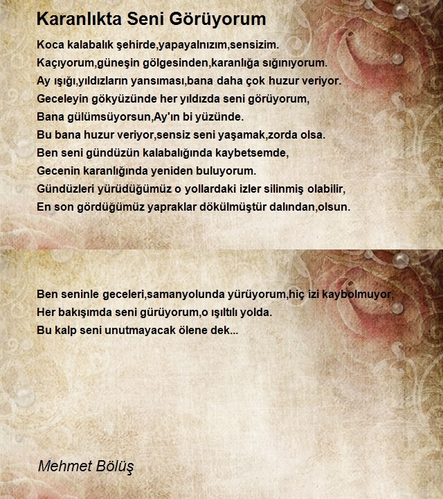 Mehmet Bölüş