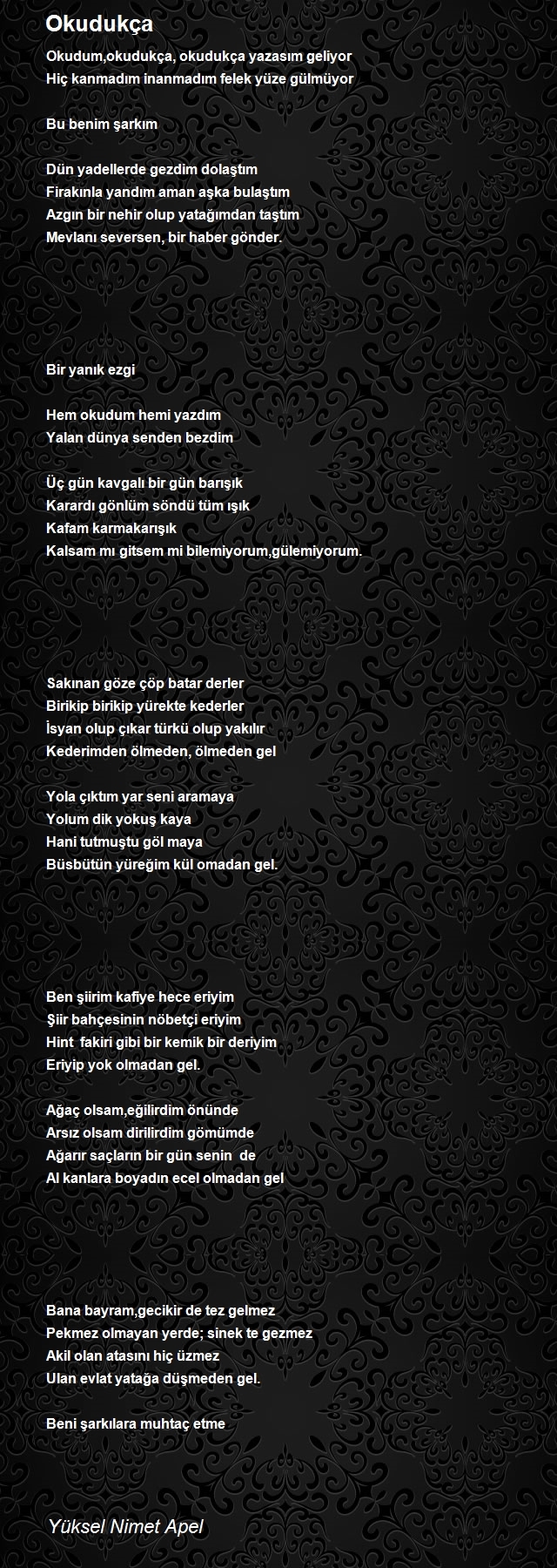 Yüksel Nimet Apel
