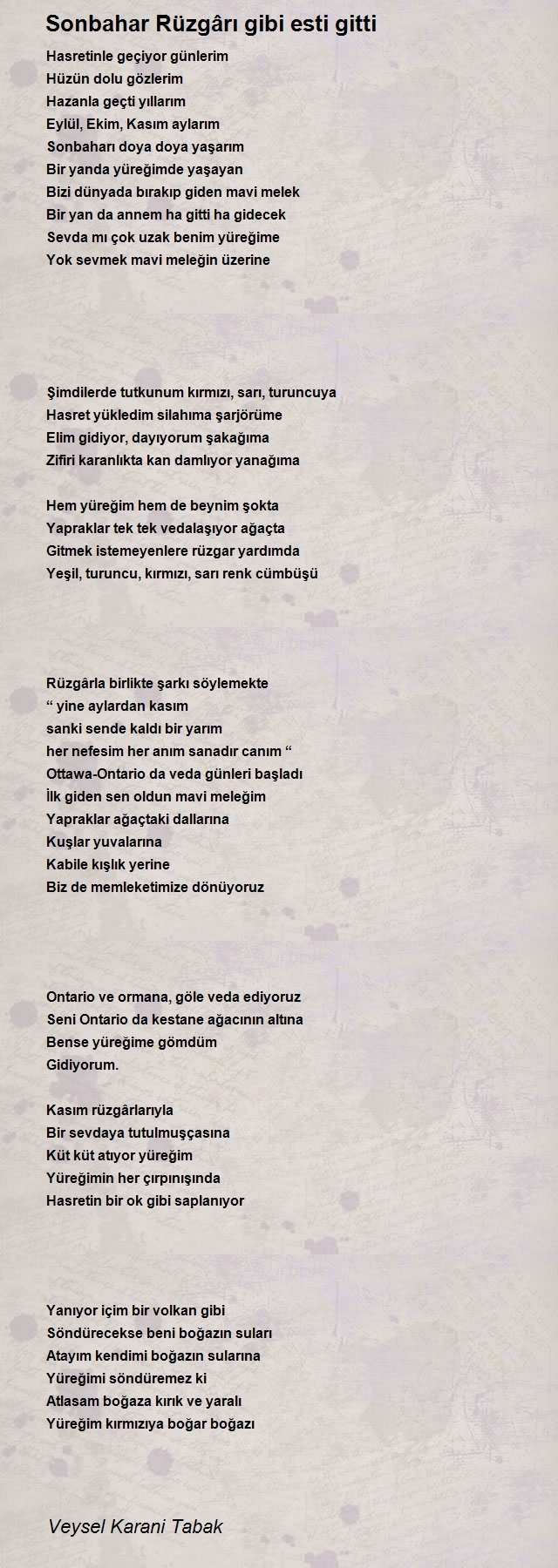 Veysel Karani Tabak