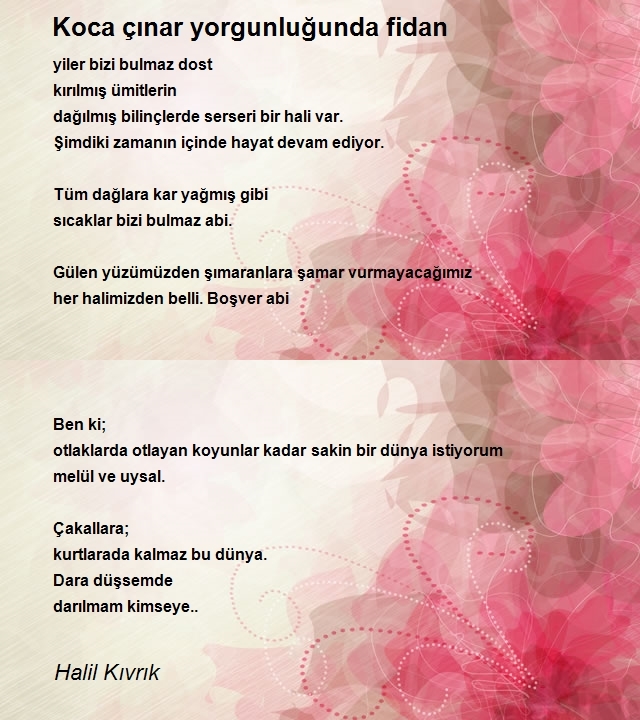 Halil Kıvrık