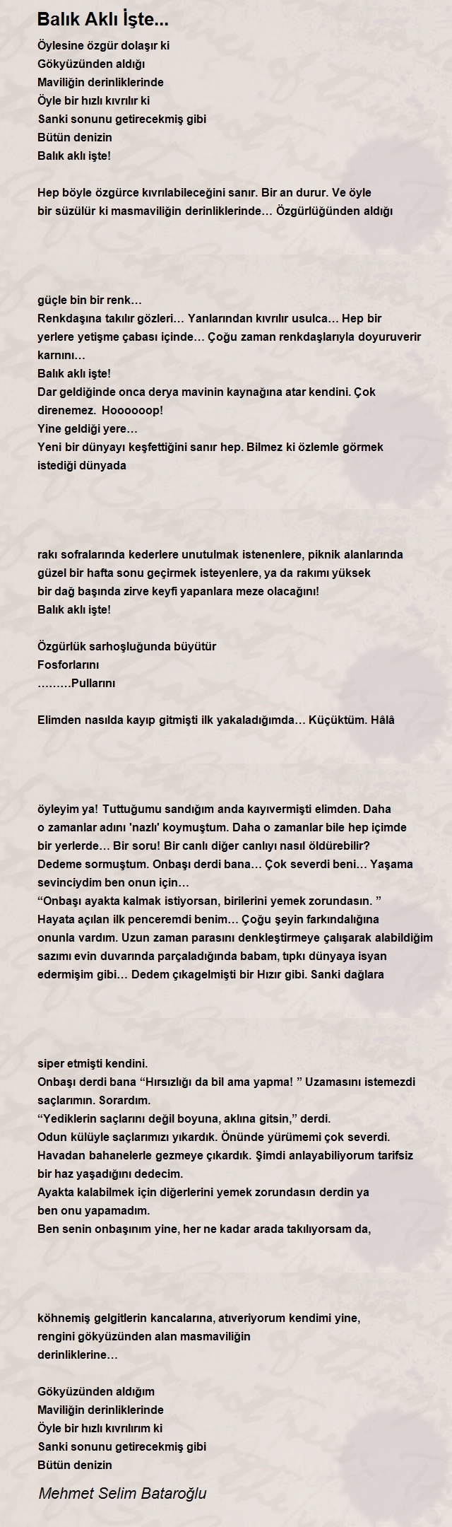 Mehmet Selim Bataroğlu