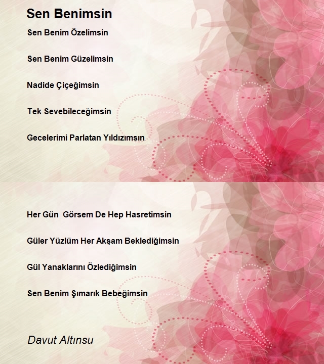 Davut Altınsu