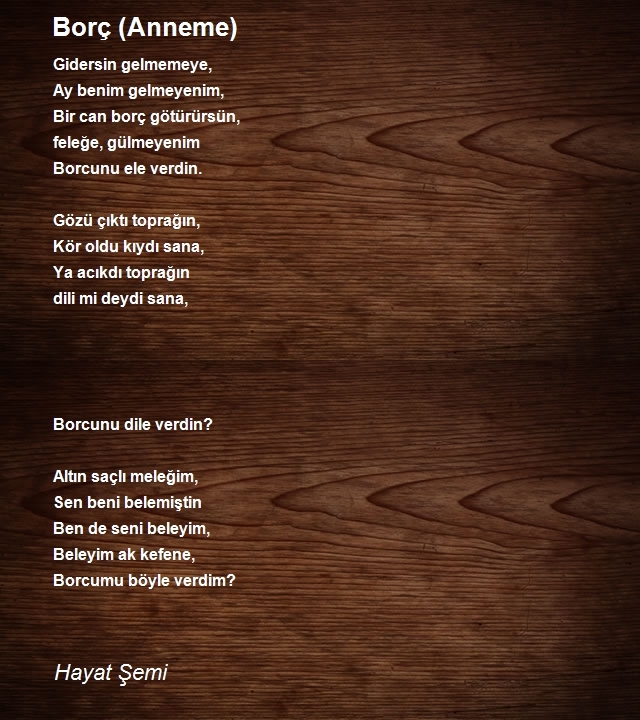 Hayat Şemi