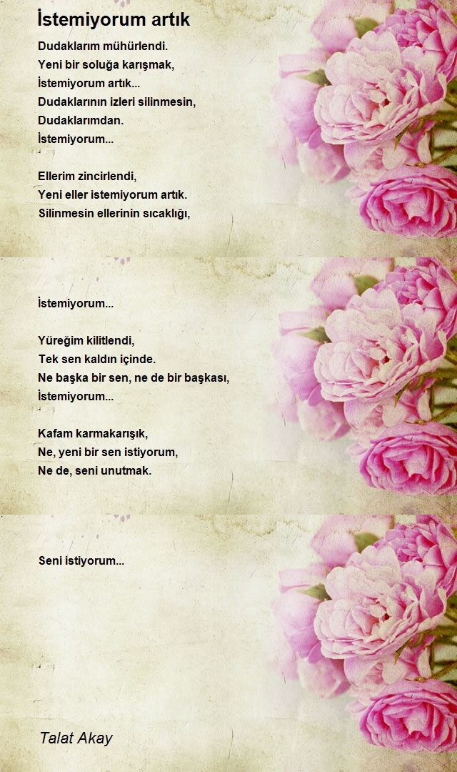Talat Akay
