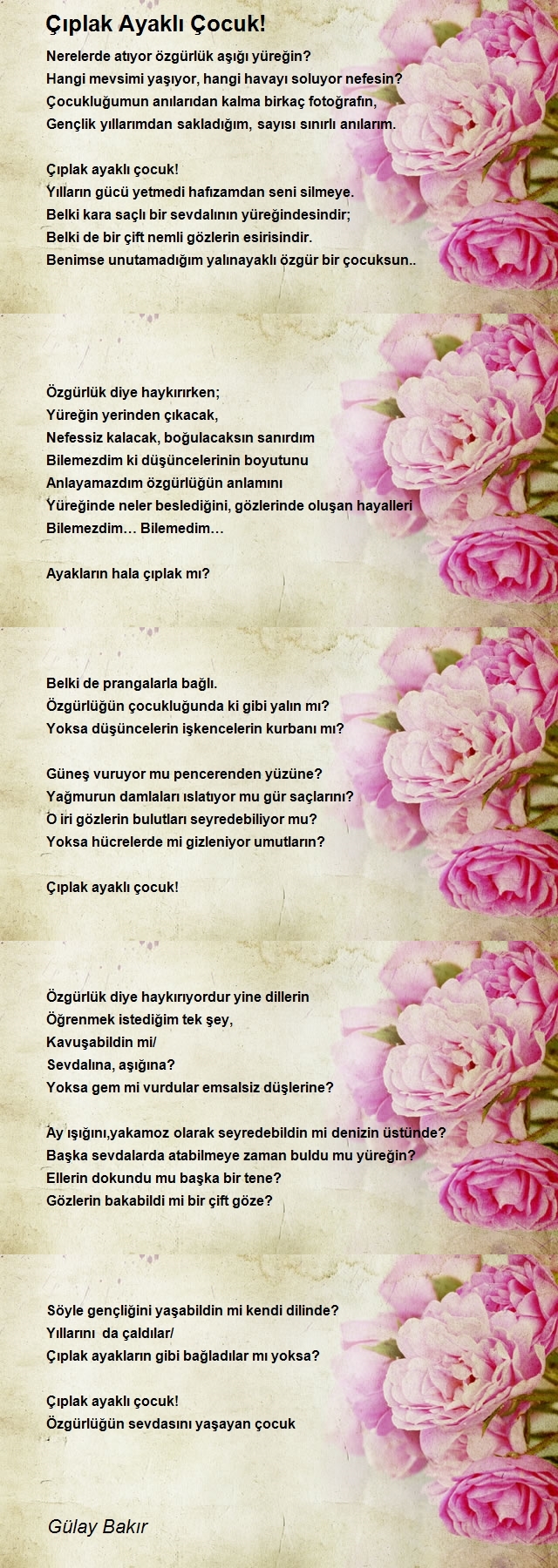 Gülay Bakır