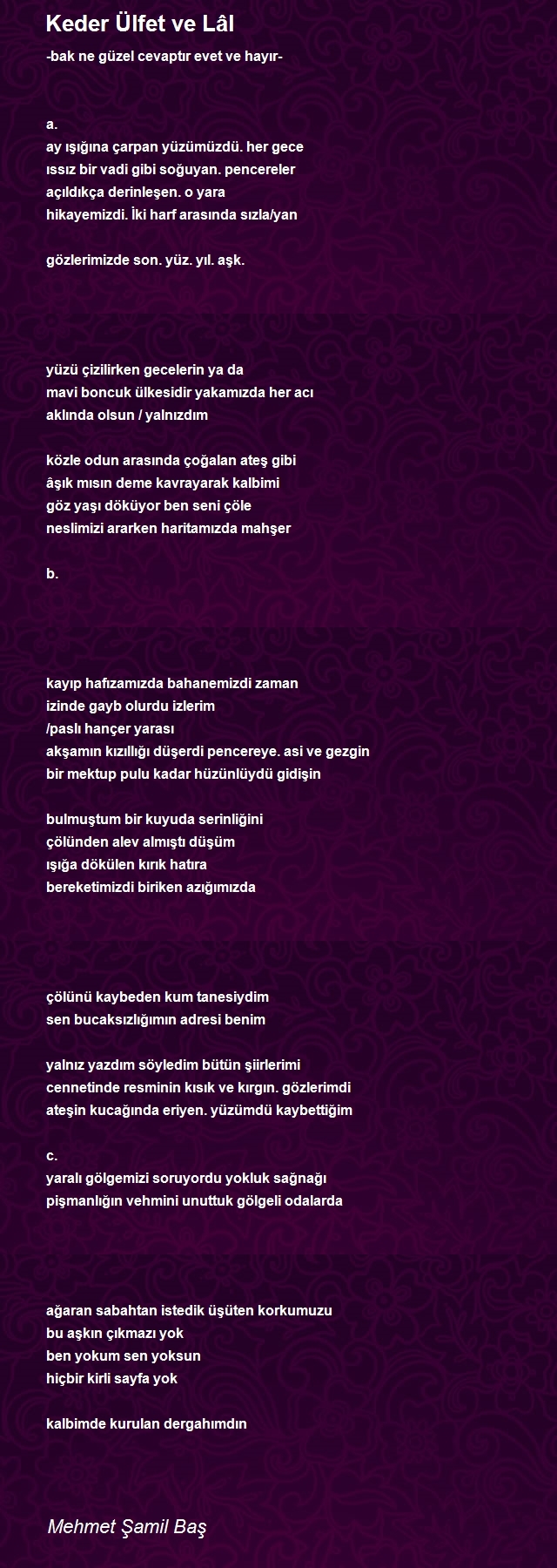 Mehmet Şamil Baş