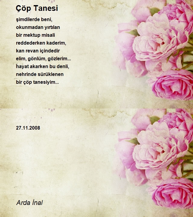 Arda İnal