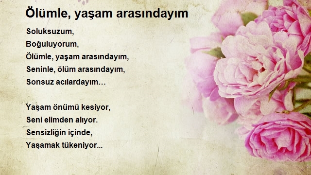 Talat Akay