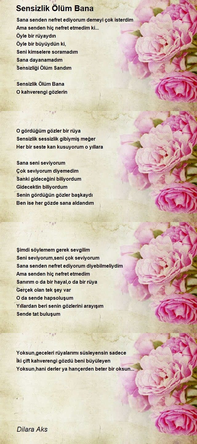 Dilara Aks