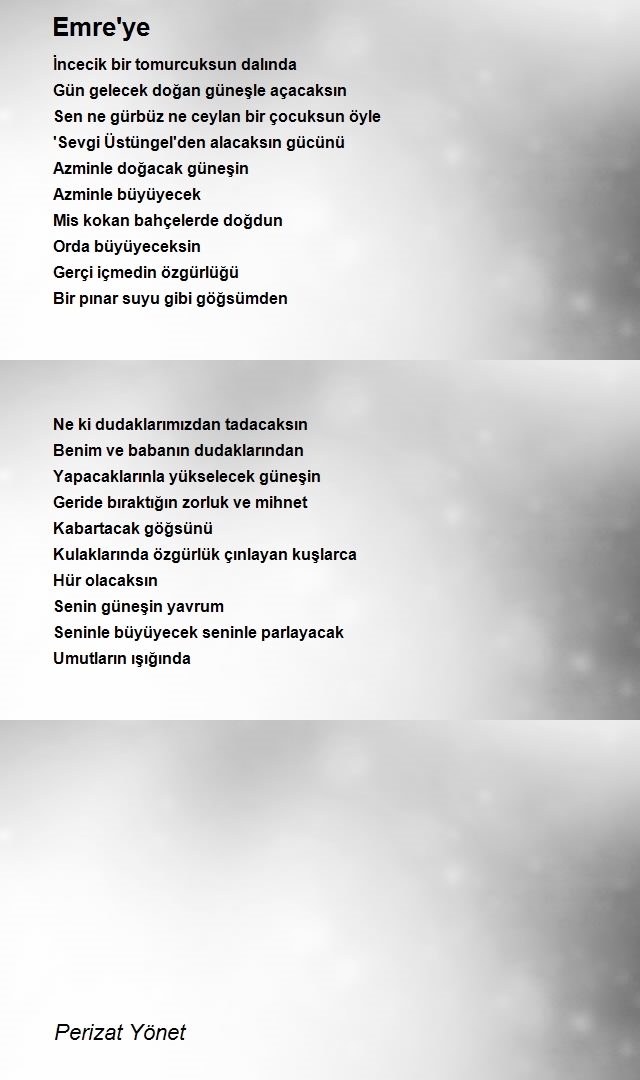 Perizat Yönet