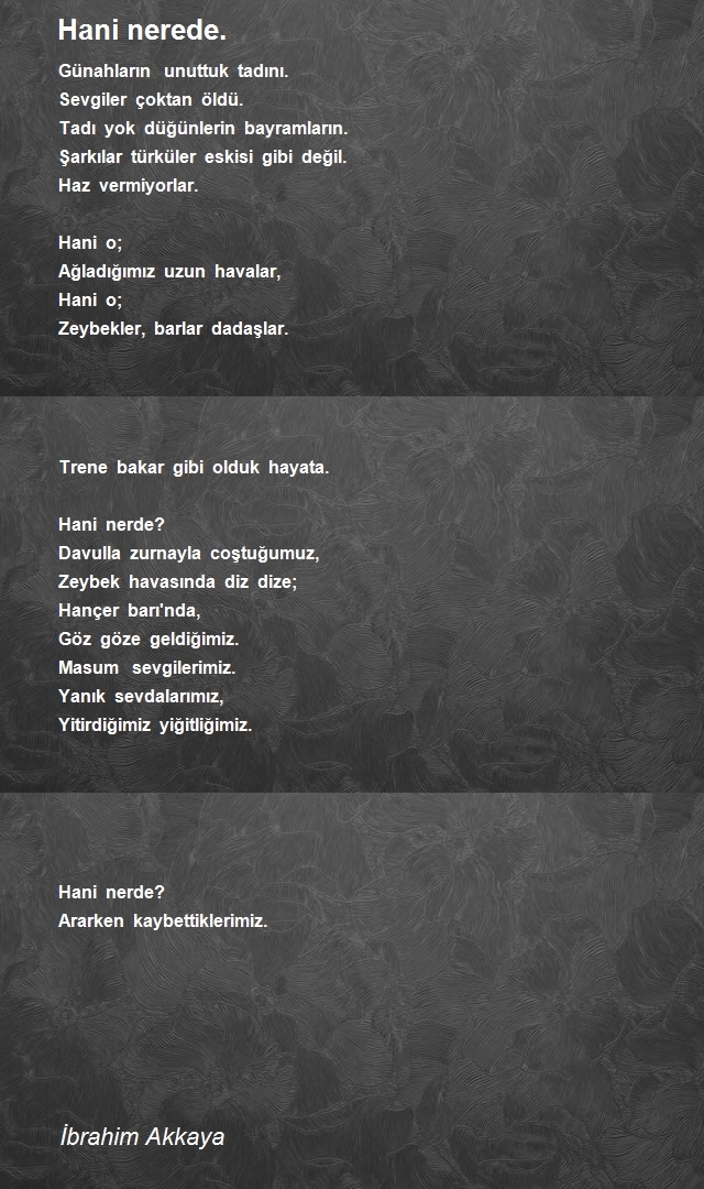 İbrahim Akkaya