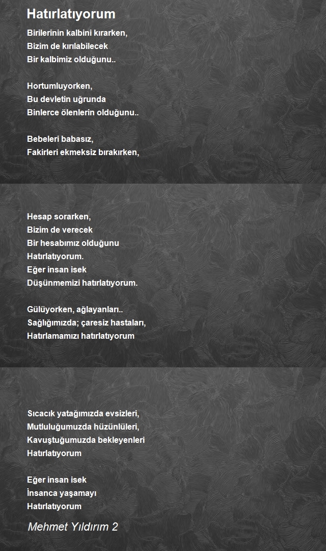 Mehmet Yıldırım 2