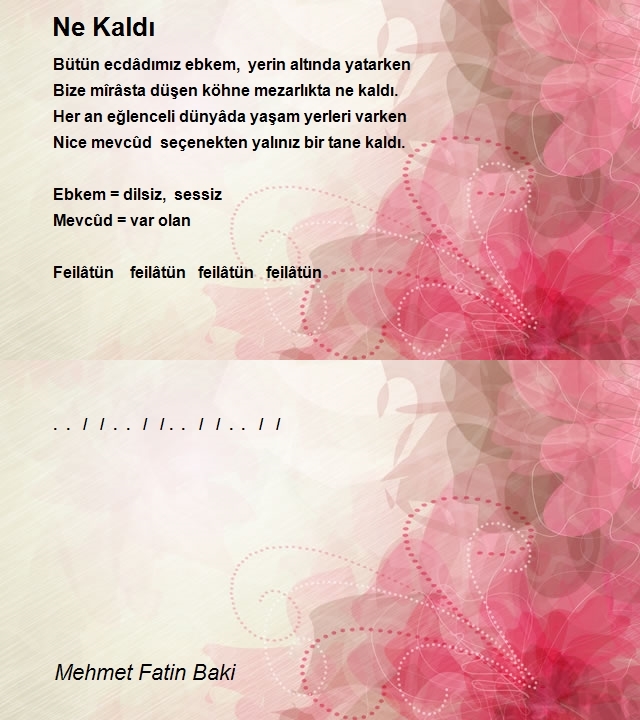 Mehmet Fatin Baki