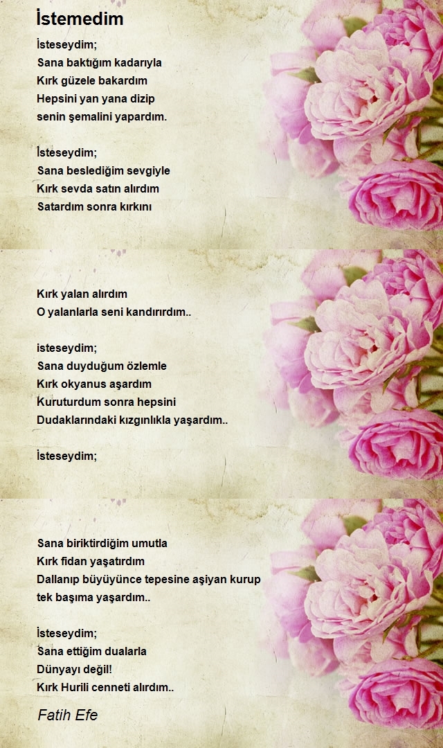 Fatih Efe
