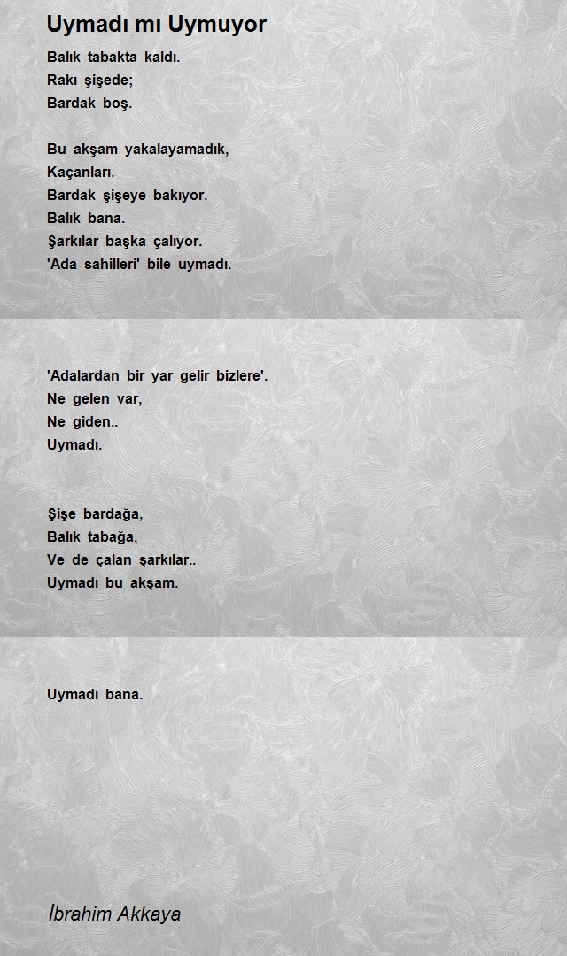 İbrahim Akkaya
