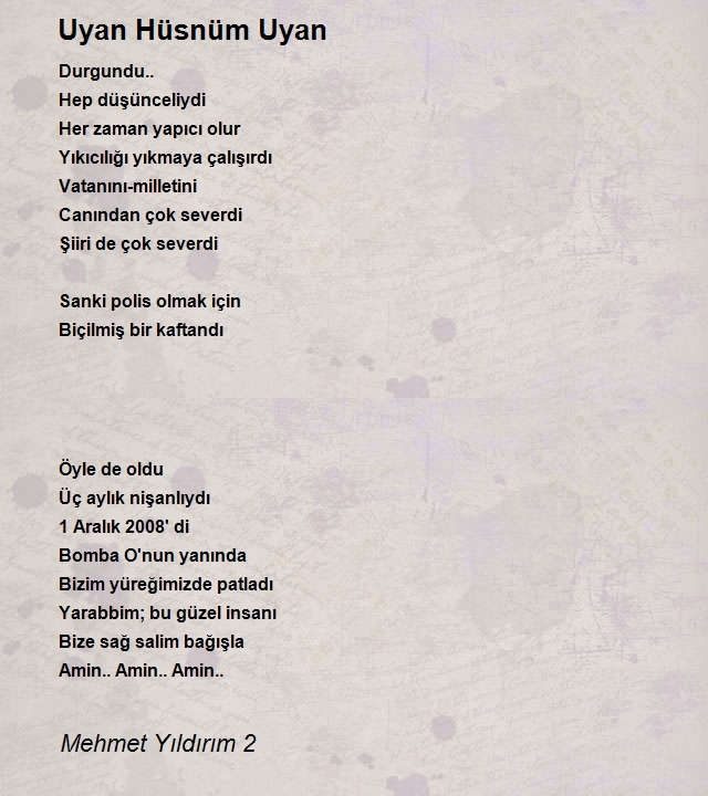 Mehmet Yıldırım 2