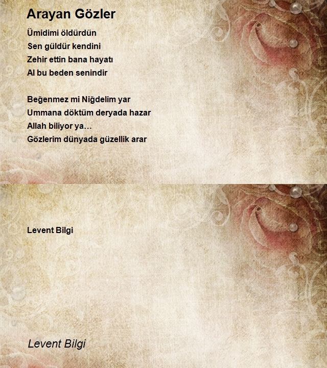 Levent Bilgi
