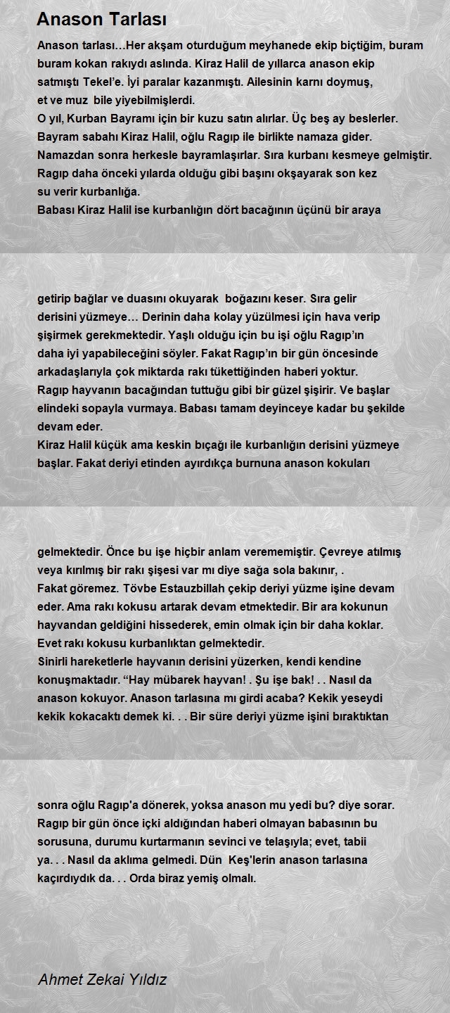 Ahmet Zekai Yıldız