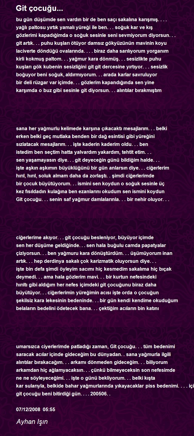 Ayhan Işın