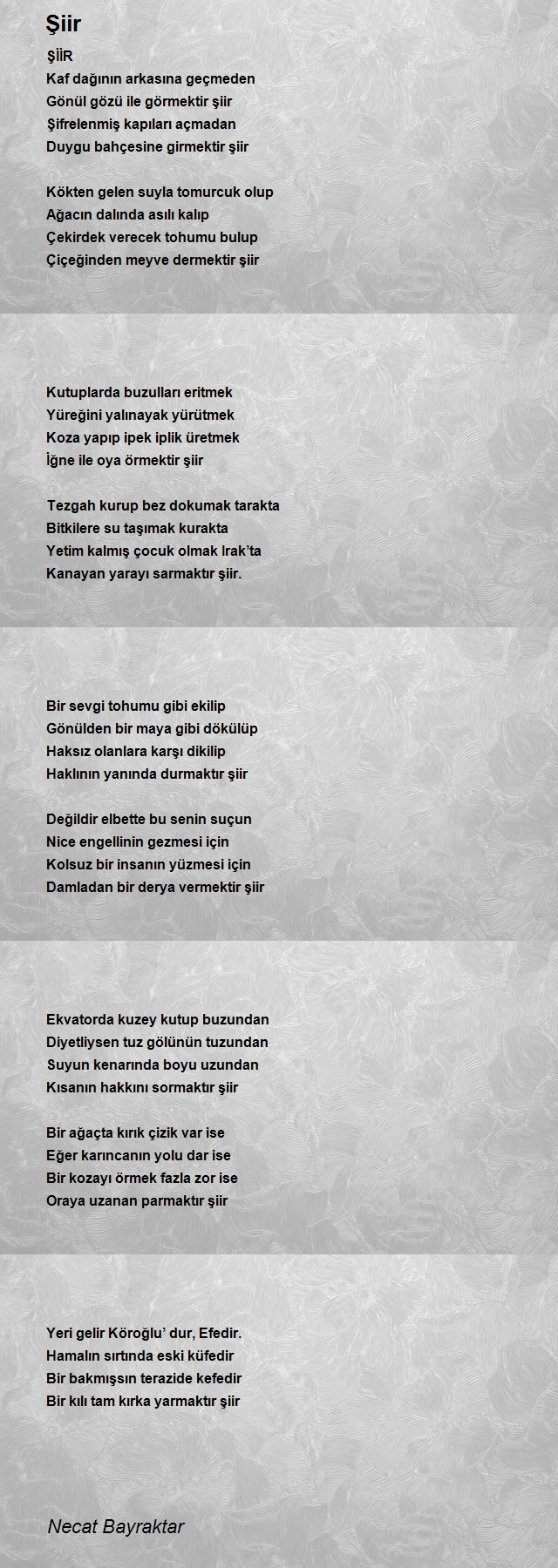 Necat Bayraktar
