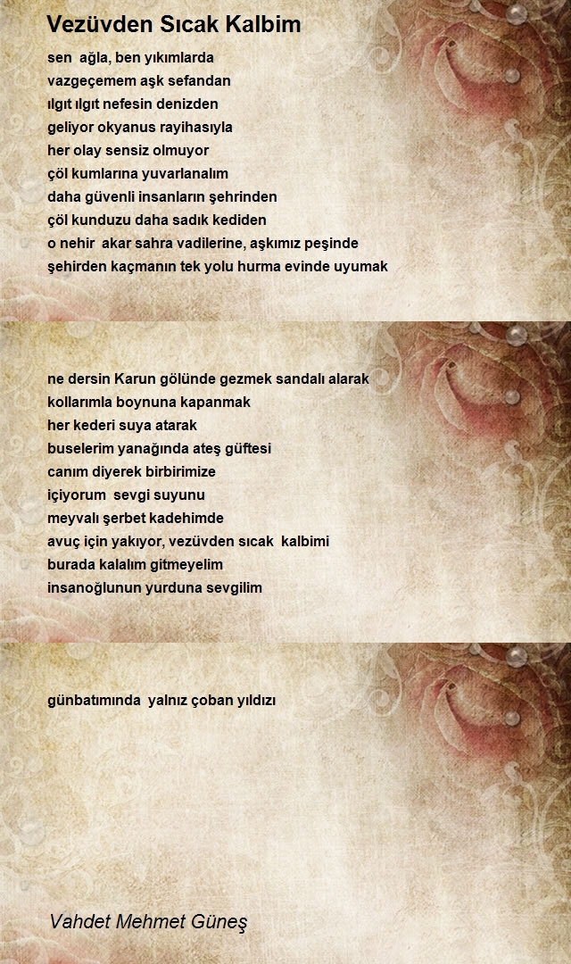 Vahdet Mehmet Güneş