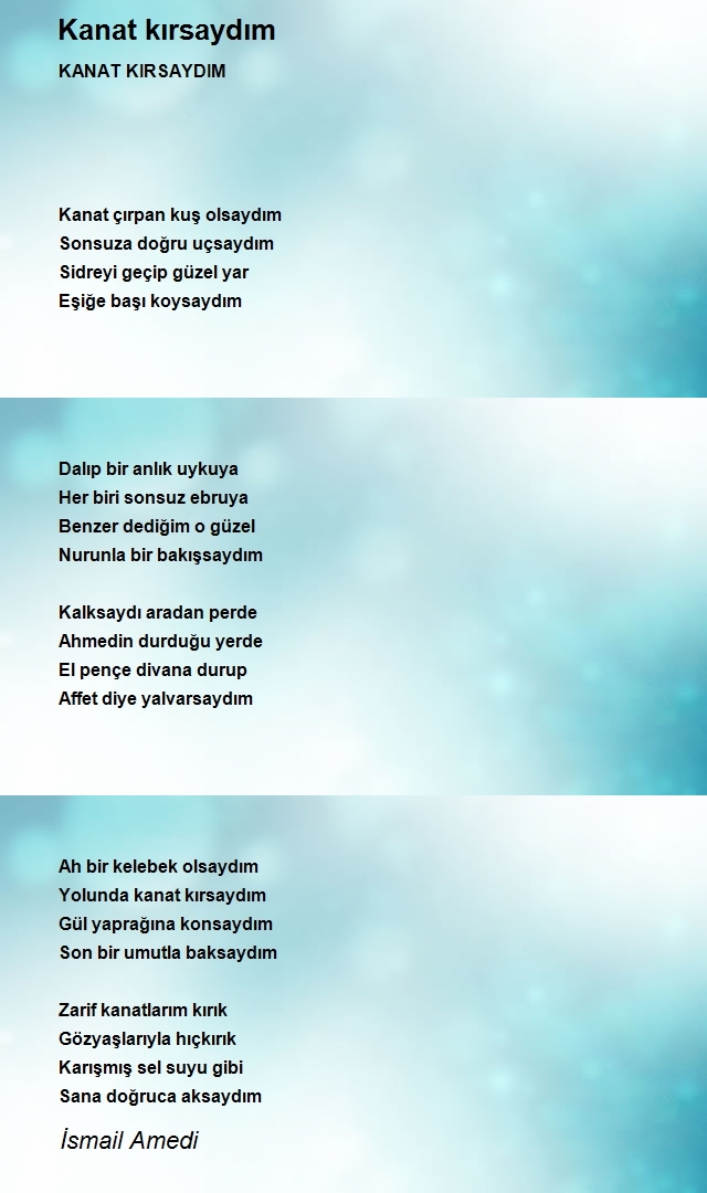 İsmail Amedi