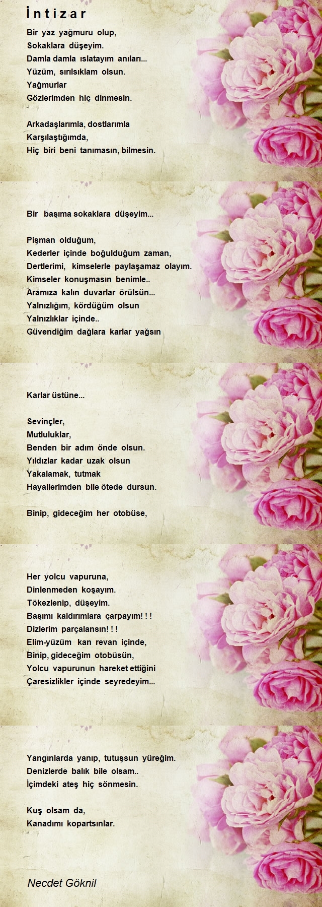 Necdet Göknil