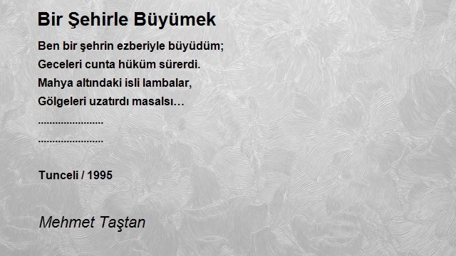Mehmet Taştan