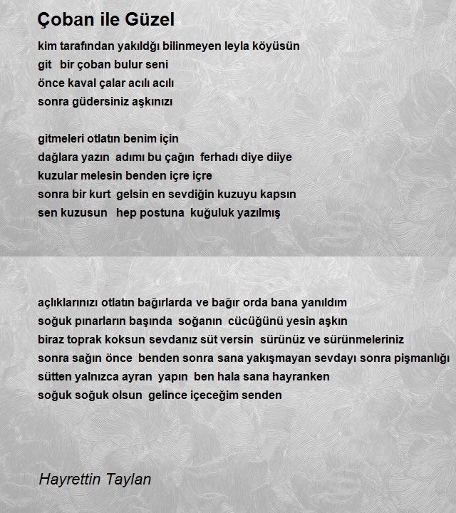 Hayrettin Taylan