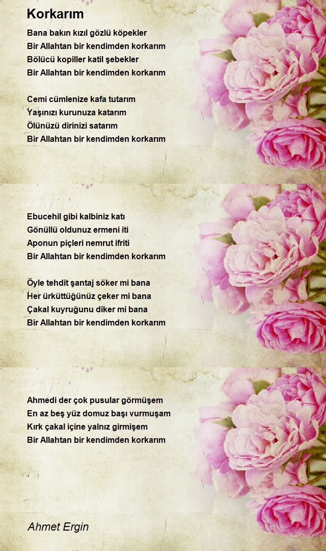 Ahmet Ergin