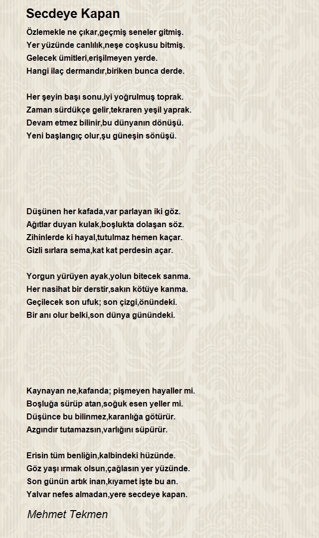 Mehmet Tekmen