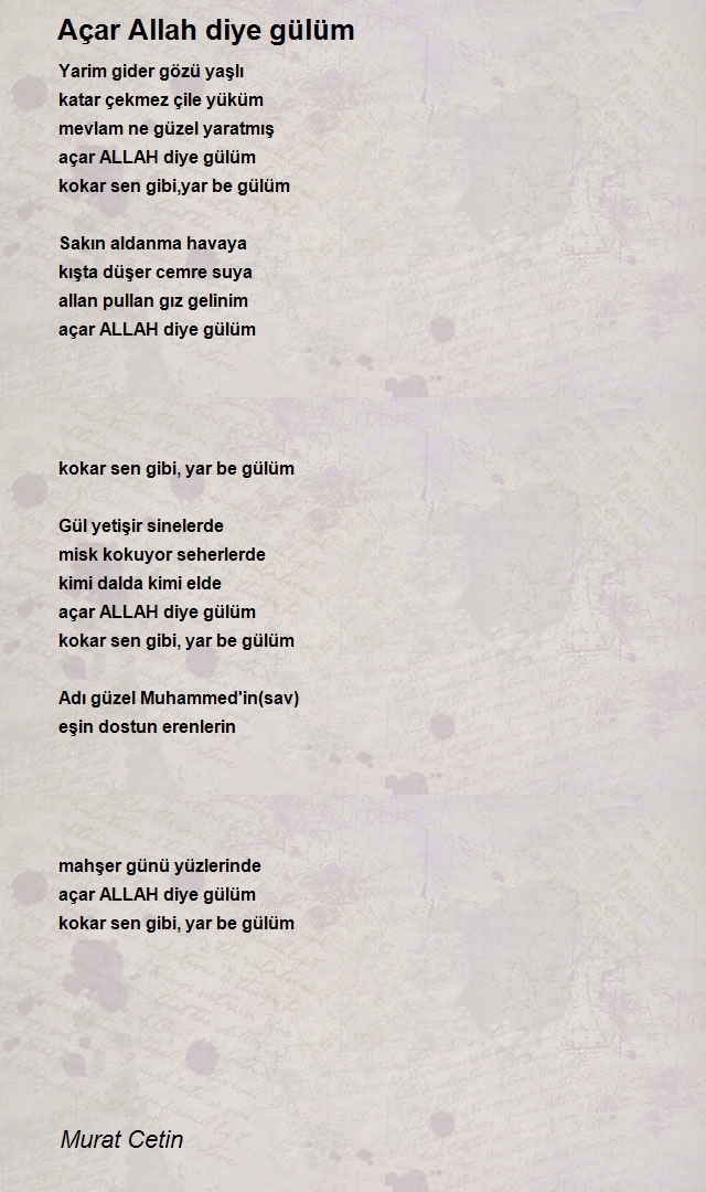 Murat Cetin