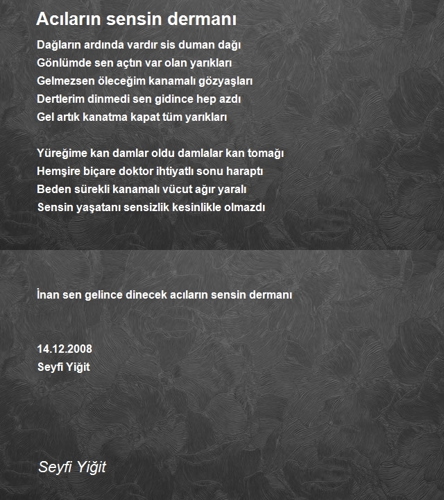 Seyfi Yiğit