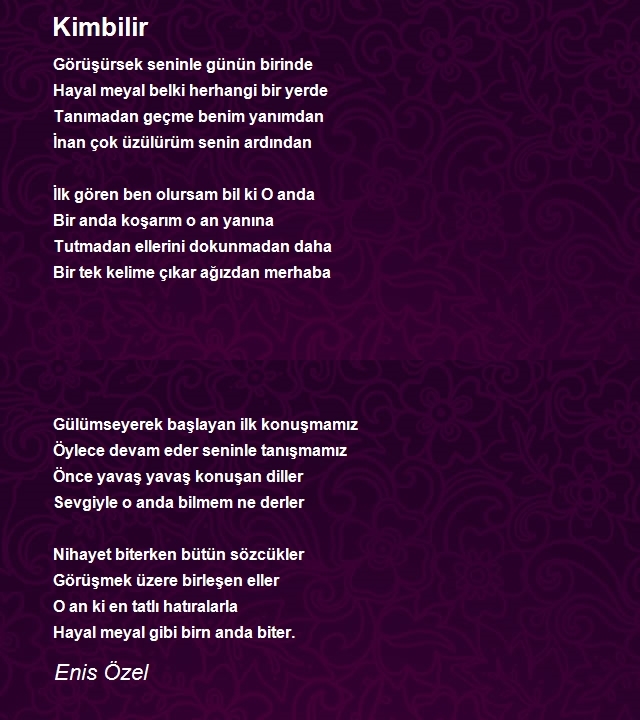 Enis Özel