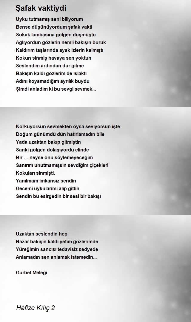 Hafize Kılıç 2