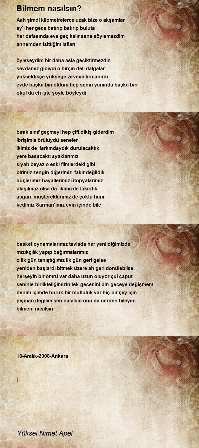 Yüksel Nimet Apel