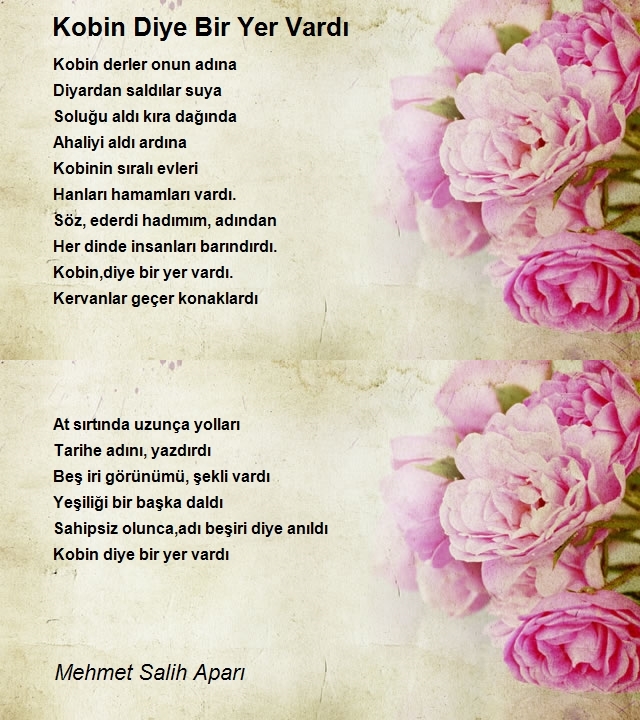 Mehmet Salih Aparı