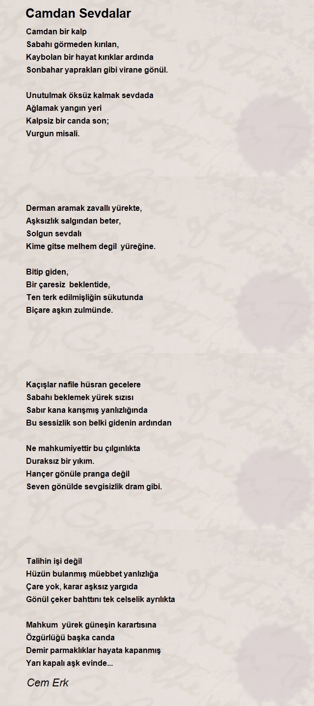 Cem Erk