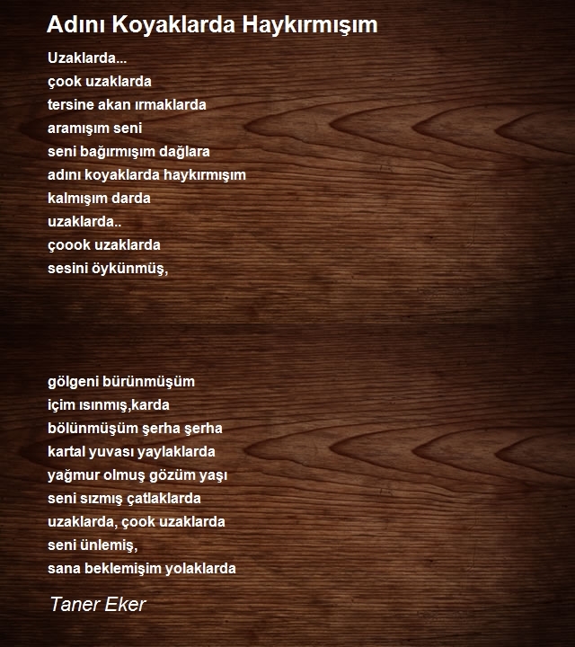 Taner Eker