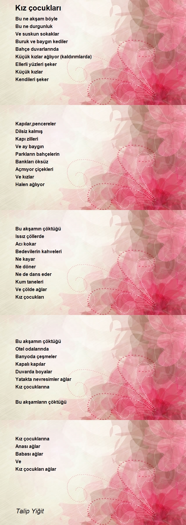 Talip Yiğit