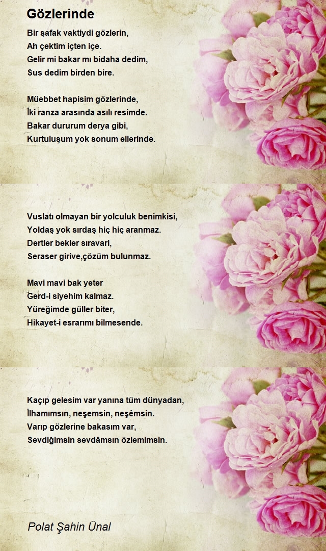 Polat Şahin Ünal