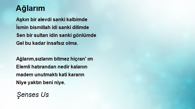 Şenses Us