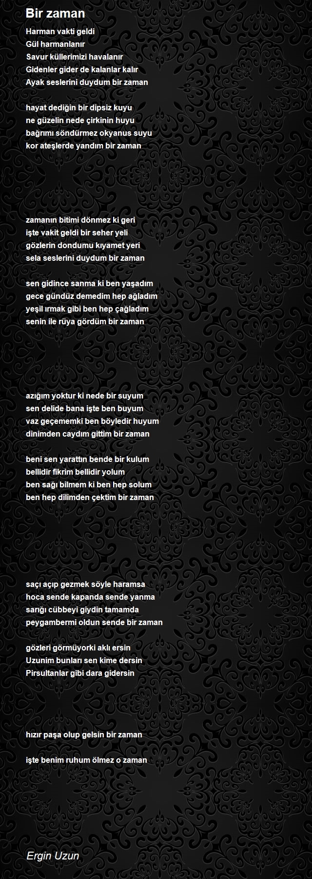 Ergin Uzun