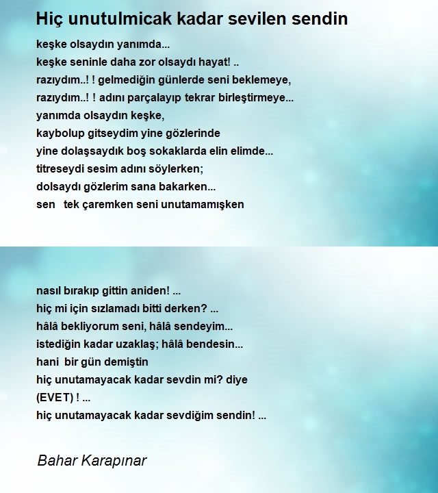 Bahar Karapınar