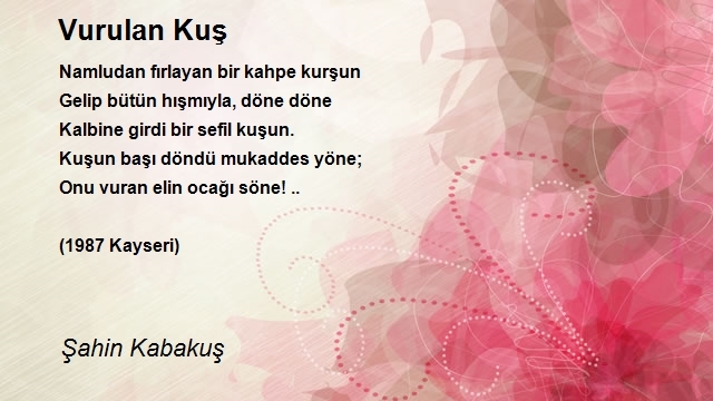 Şahin Kabakuş