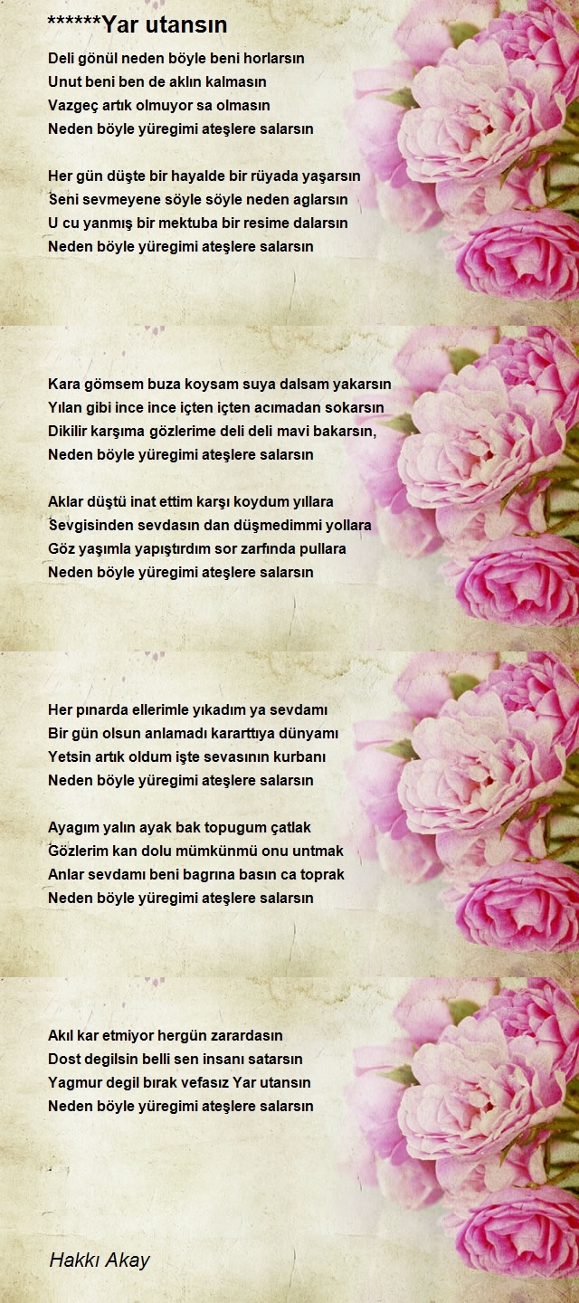 Hakkı Akay