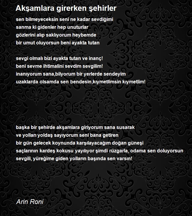 Arin Roni