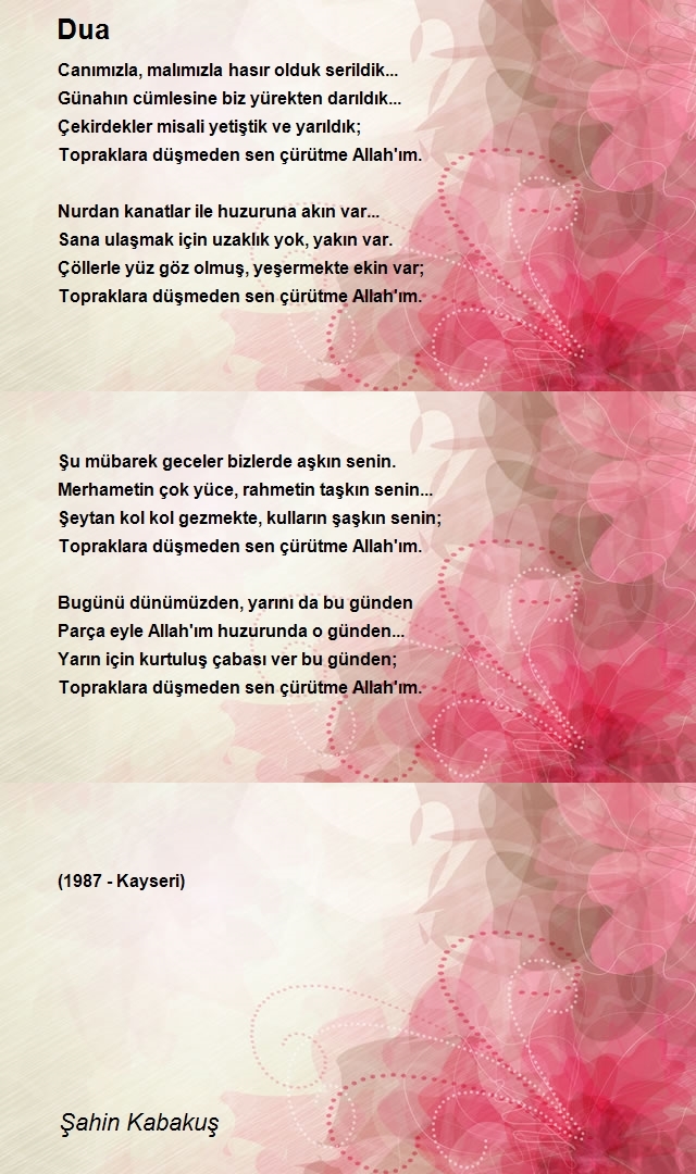 Şahin Kabakuş