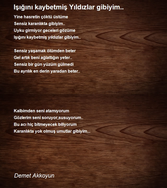 Demet Akkoyun